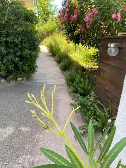 Une Pause Au Paradis Sorgues Exterior photo